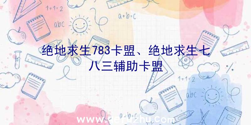 绝地求生783卡盟、绝地求生七八三辅助卡盟