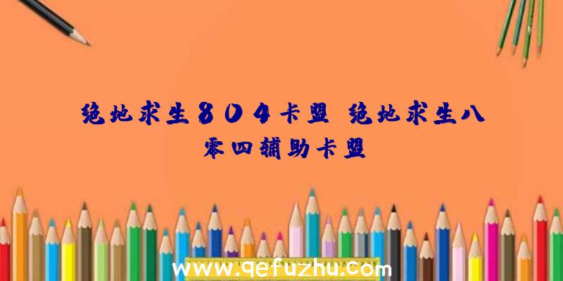 绝地求生804卡盟、绝地求生八零四辅助卡盟