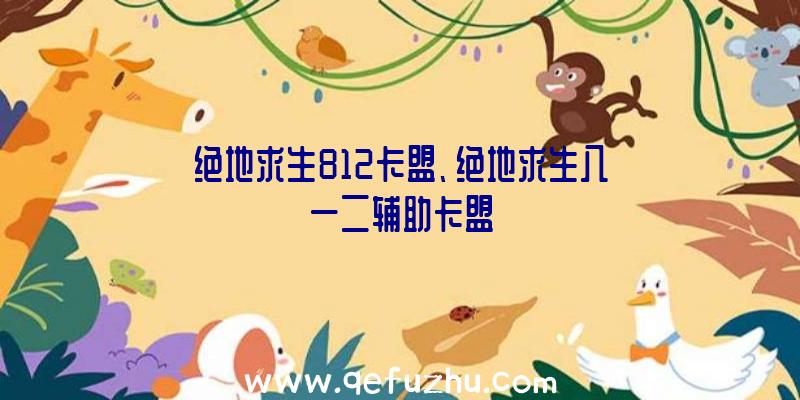 绝地求生812卡盟、绝地求生八一二辅助卡盟