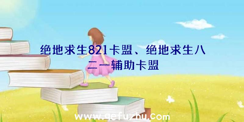 绝地求生821卡盟、绝地求生八二一辅助卡盟