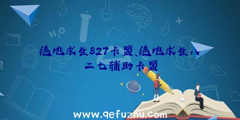 绝地求生827卡盟、绝地求生八二七辅助卡盟