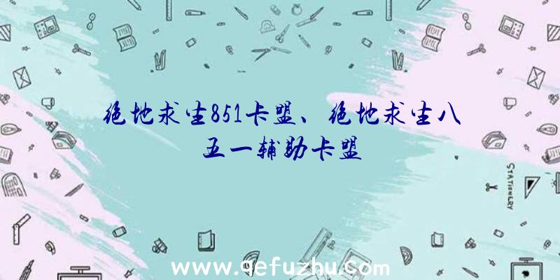 绝地求生851卡盟、绝地求生八五一辅助卡盟