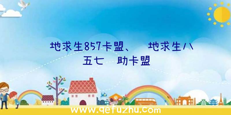 绝地求生857卡盟、绝地求生八五七辅助卡盟