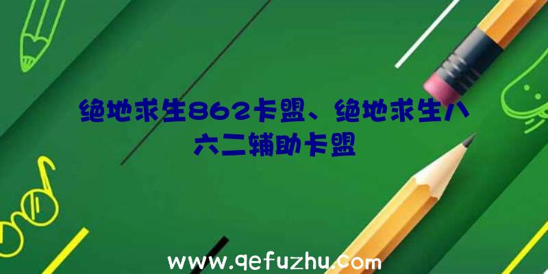 绝地求生862卡盟、绝地求生八六二辅助卡盟