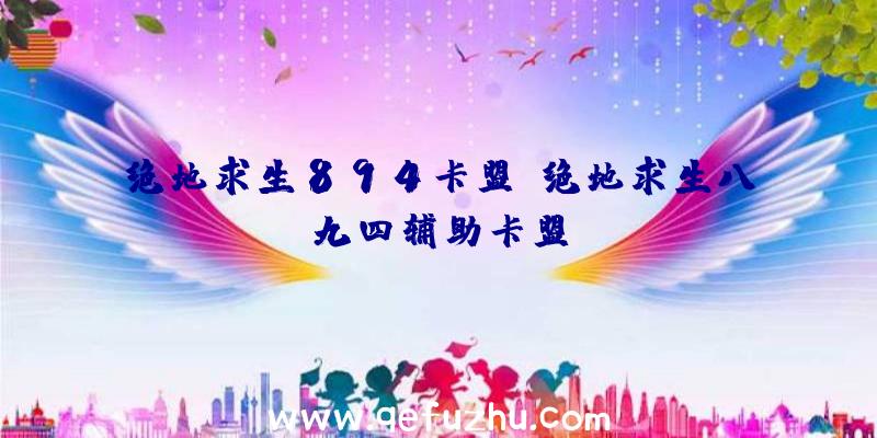 绝地求生894卡盟、绝地求生八九四辅助卡盟