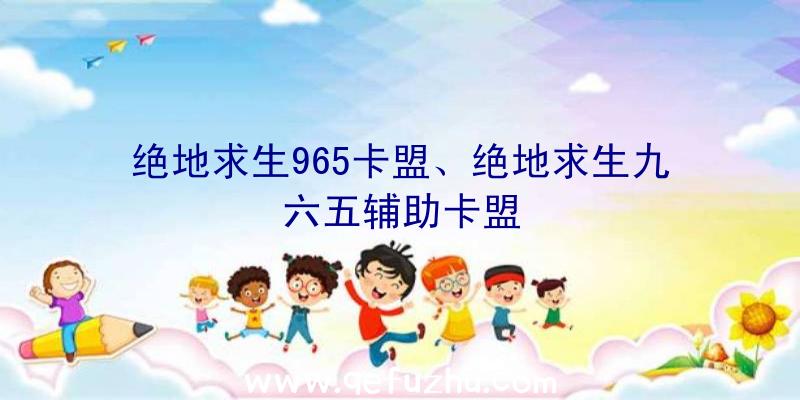 绝地求生965卡盟、绝地求生九六五辅助卡盟