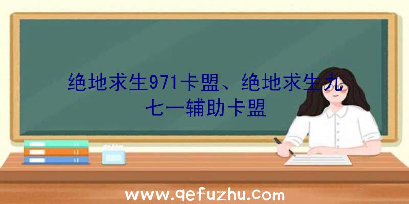 绝地求生971卡盟、绝地求生九七一辅助卡盟